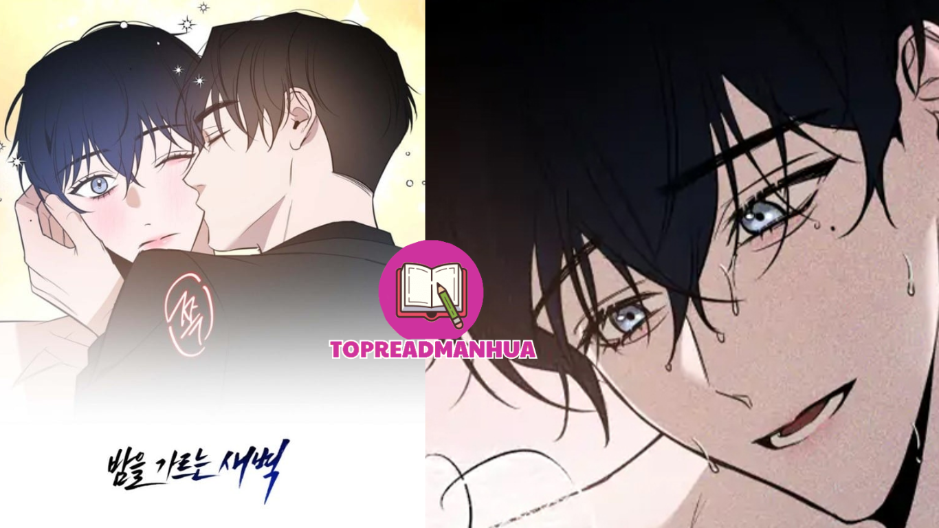 The Dawn That Cuts Through The Night manga